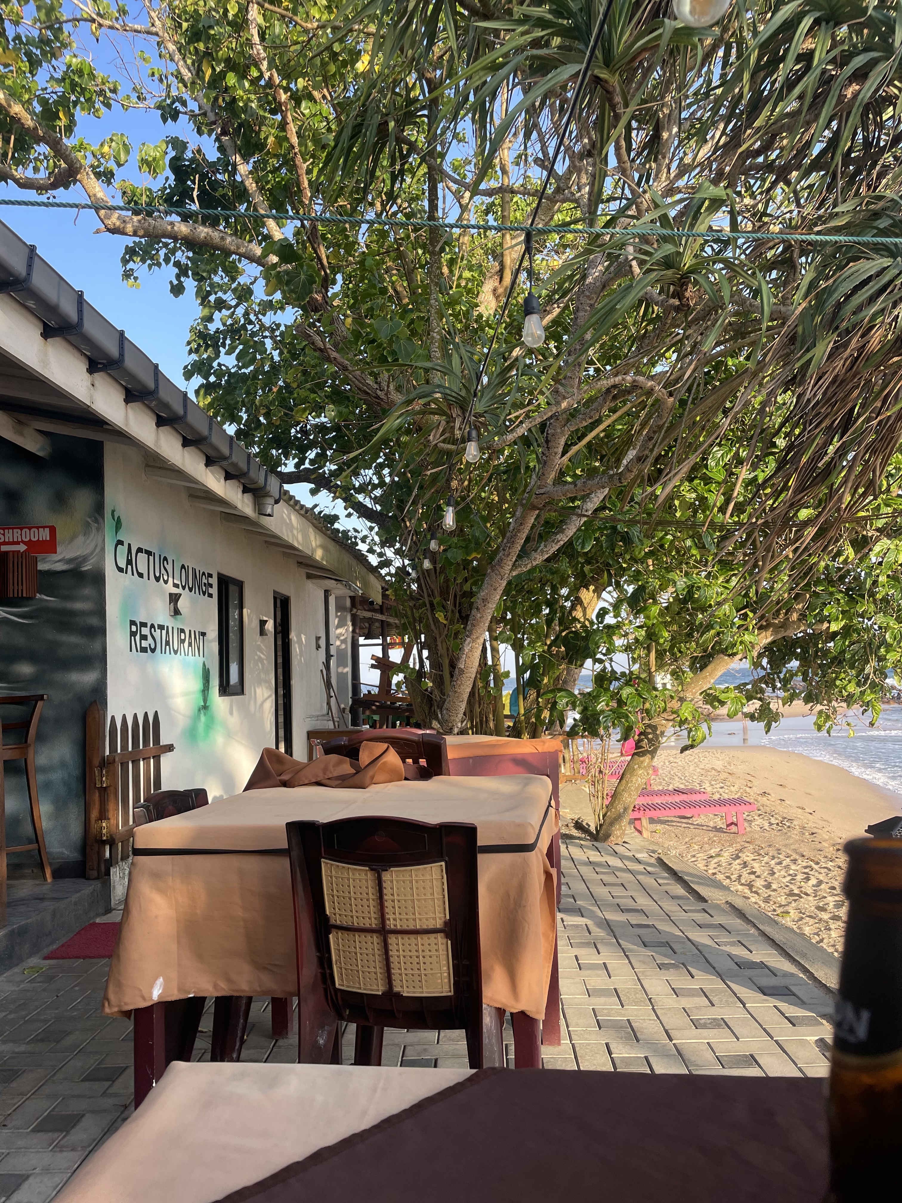 Picture for Cactus Lounge Restaurant