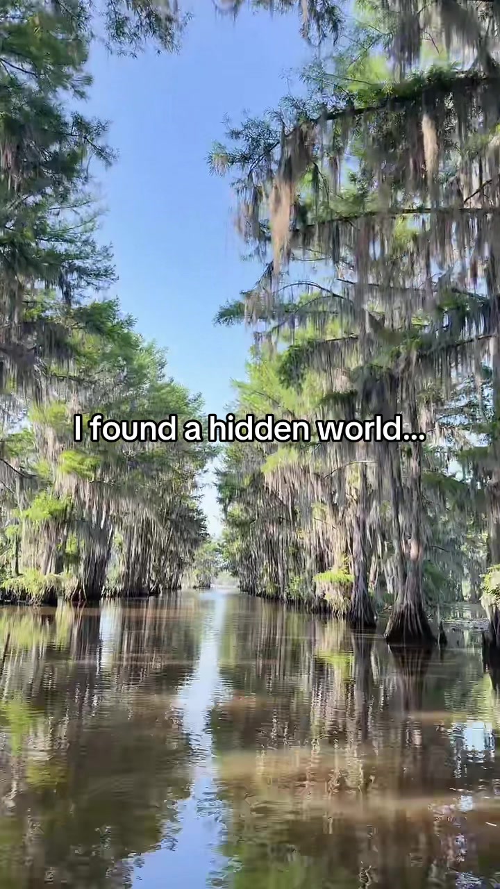 Caddo Lake State Park