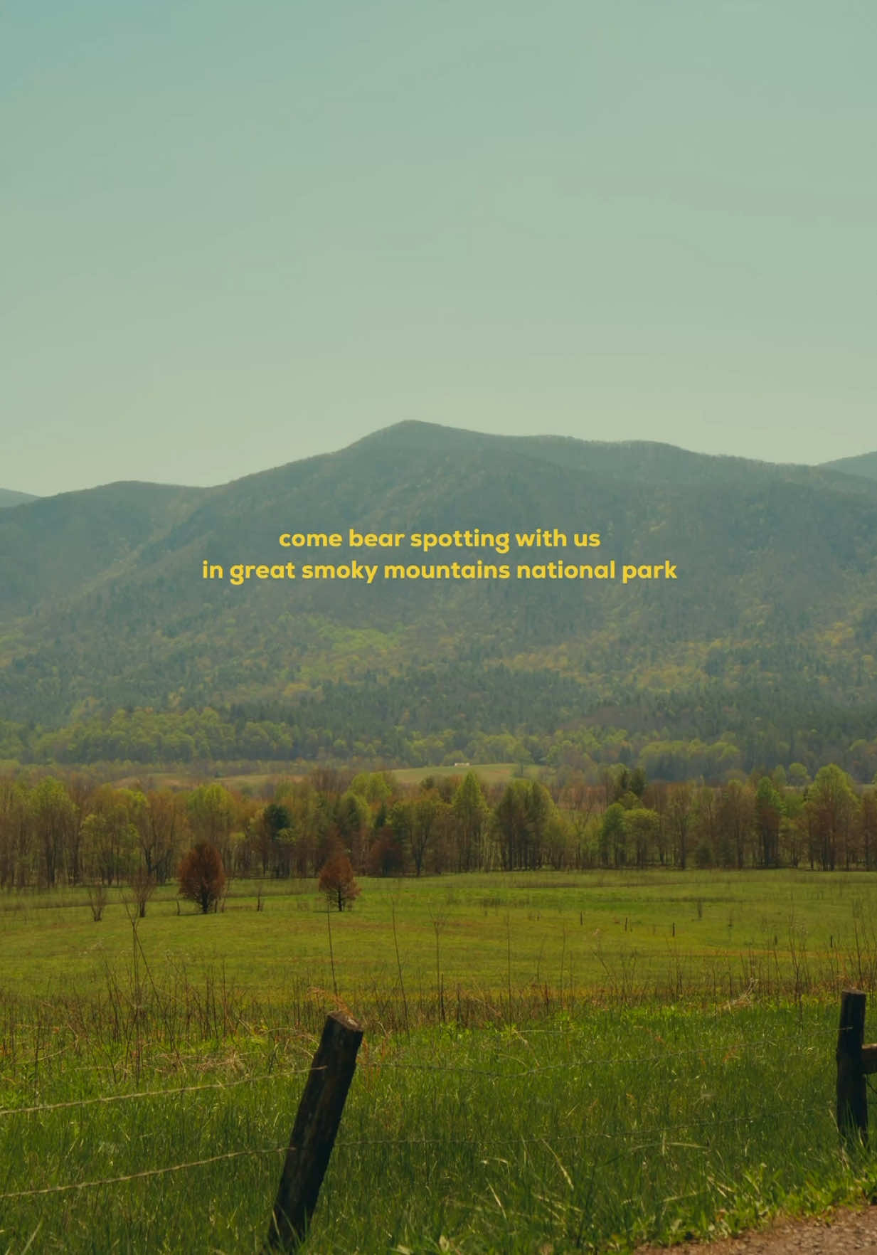 Cades Cove (Great Smoky Mountains National Park)