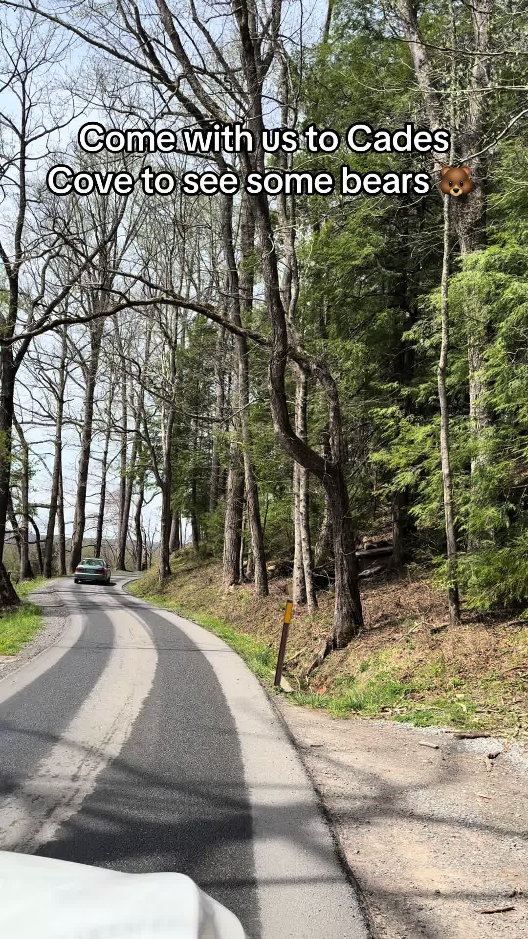 Cades Cove