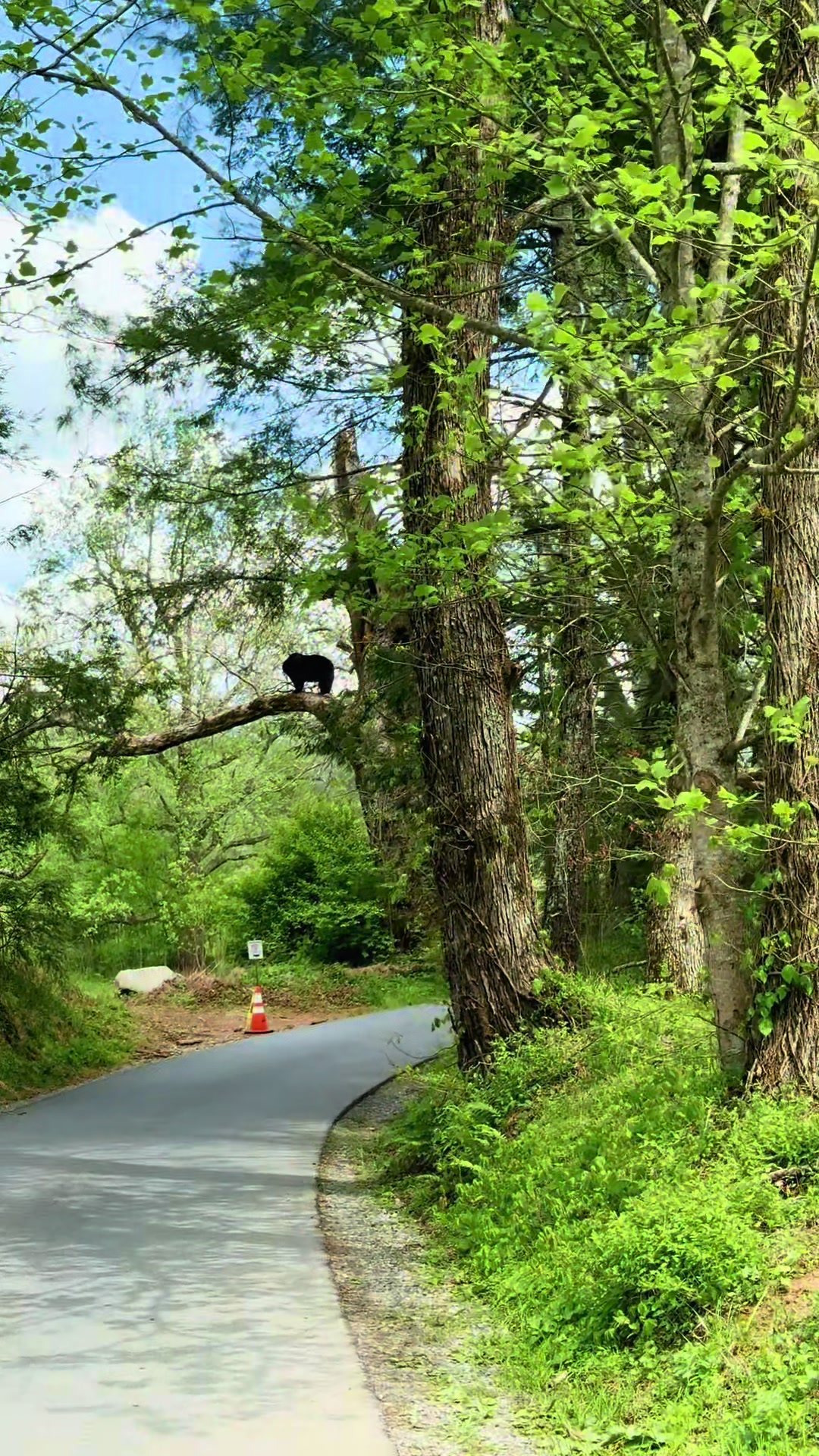 Cades Cove