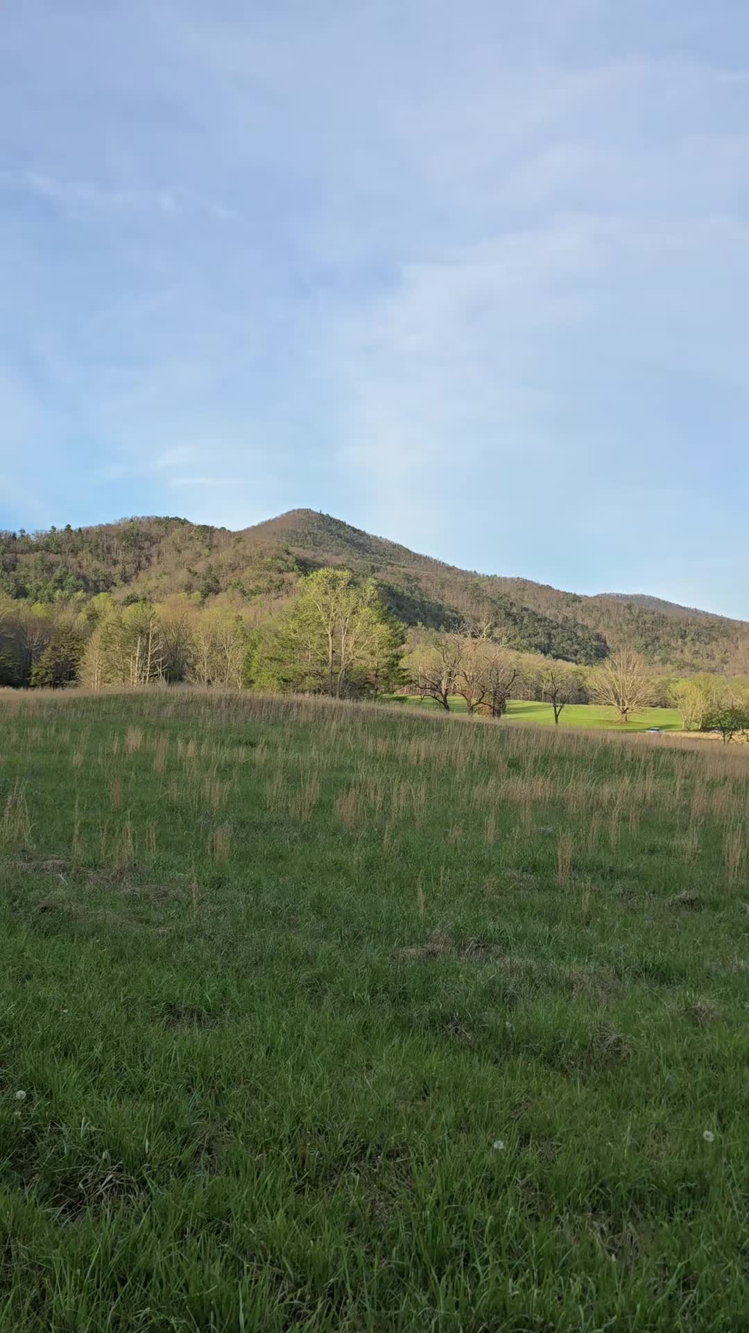 Cades Cove