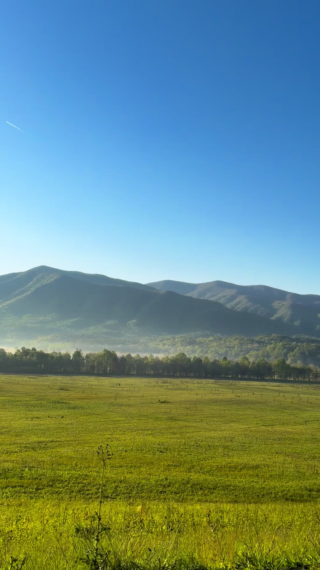 Cades Cove