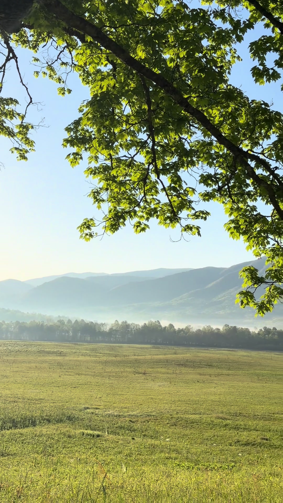 Cades Cove