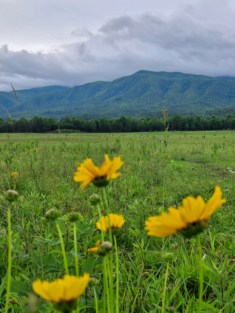Cades Cove