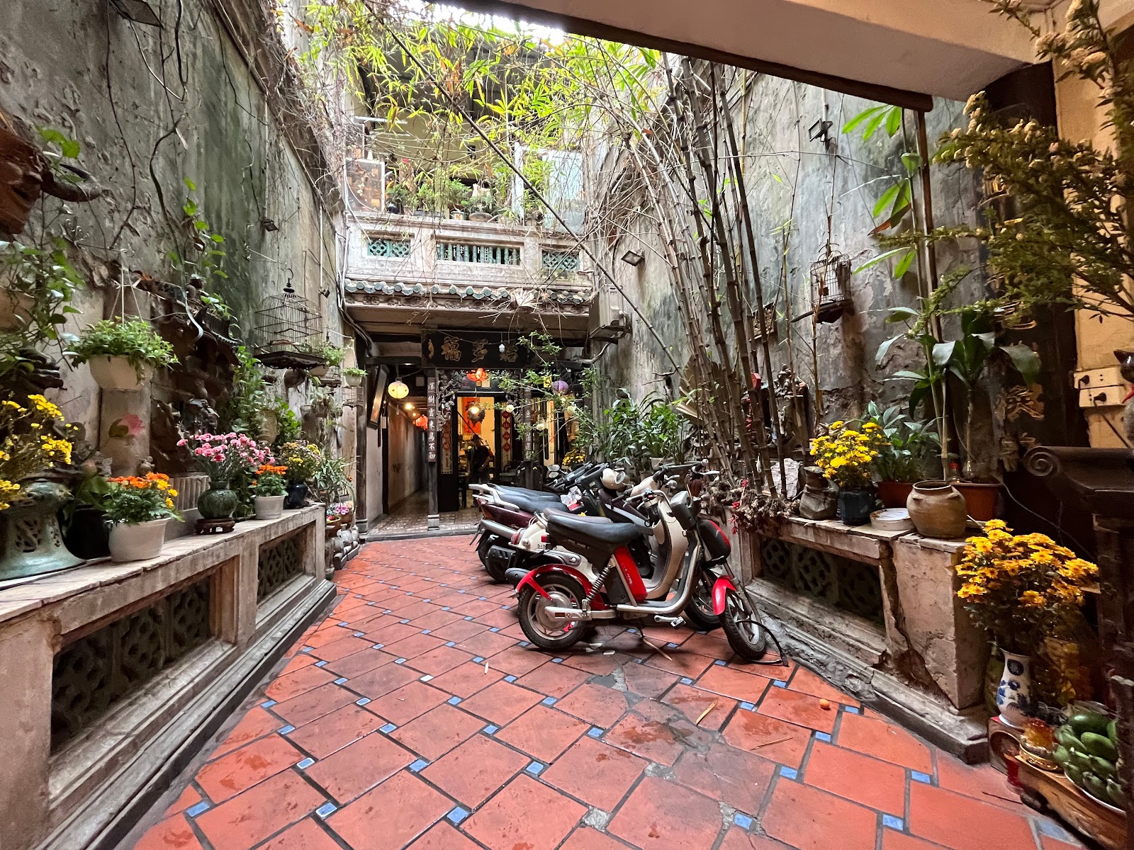 Picture for Cafe Pho Co