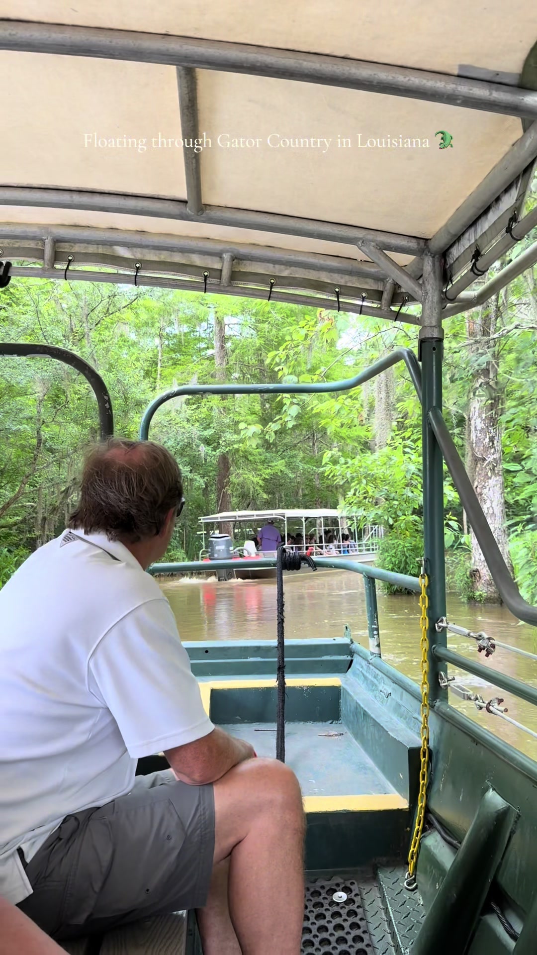 Cajun Encounters Swamp Tour (near New Orleans)