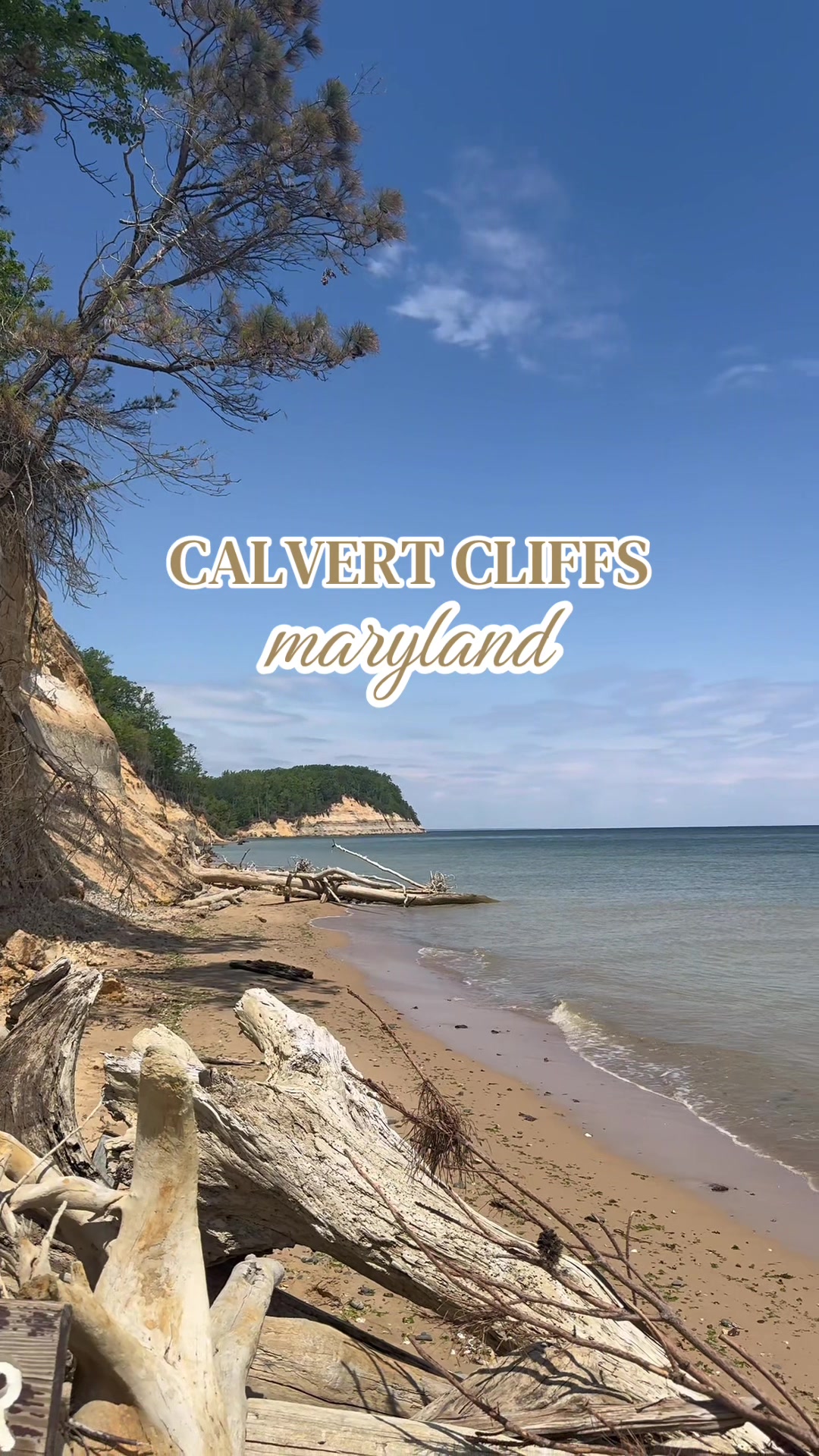 Calvert Cliffs State Park