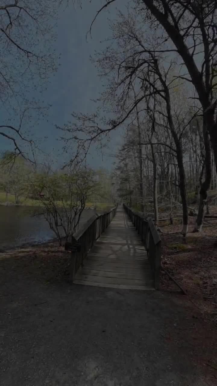 Calvert Cliffs State Park