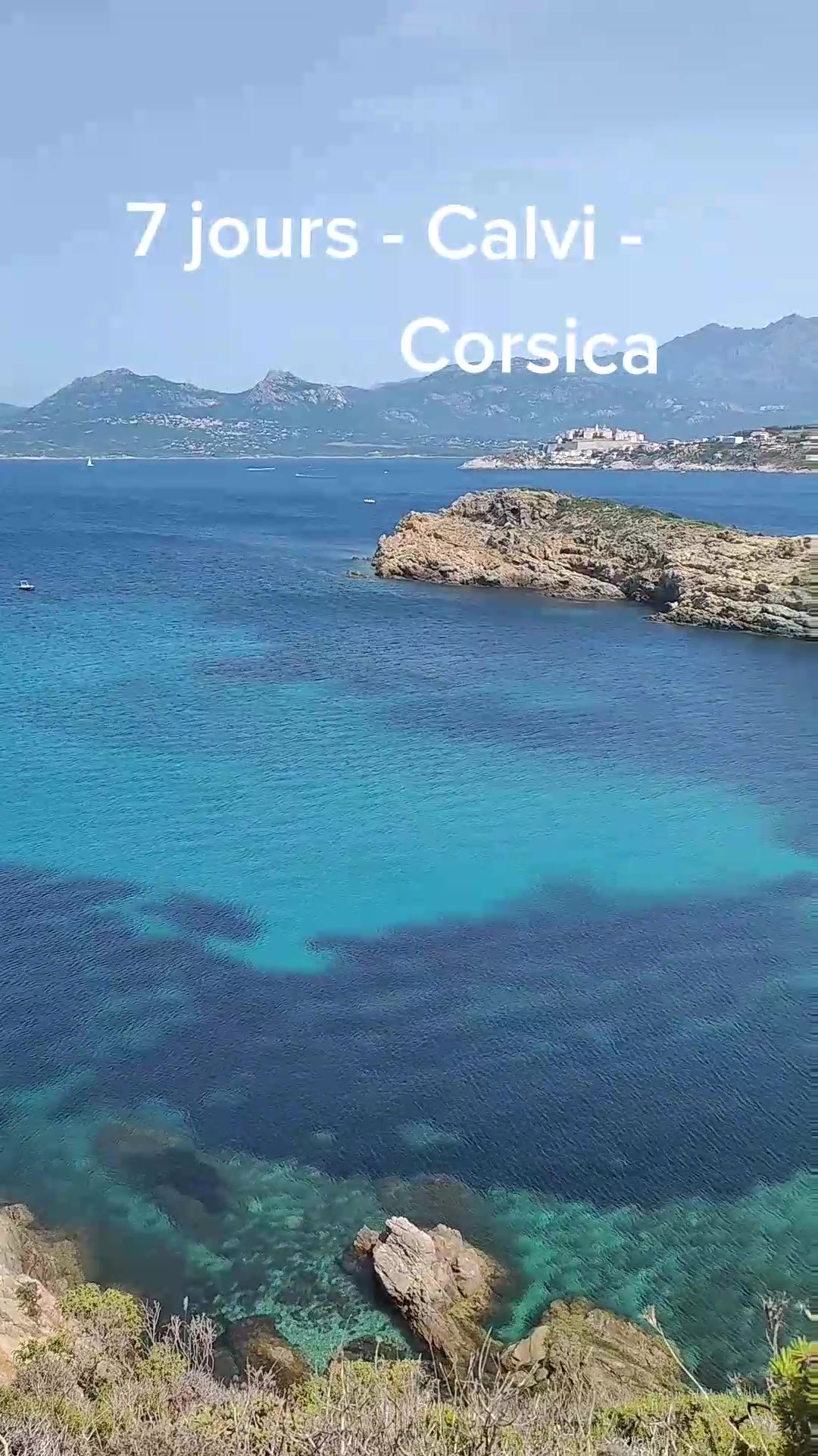 Calvi