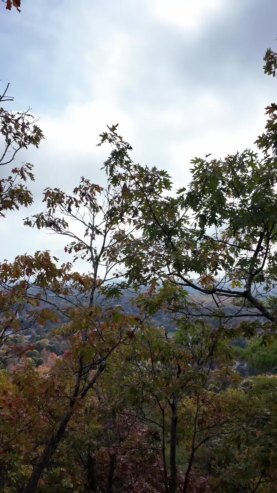 Camden Hills State Park