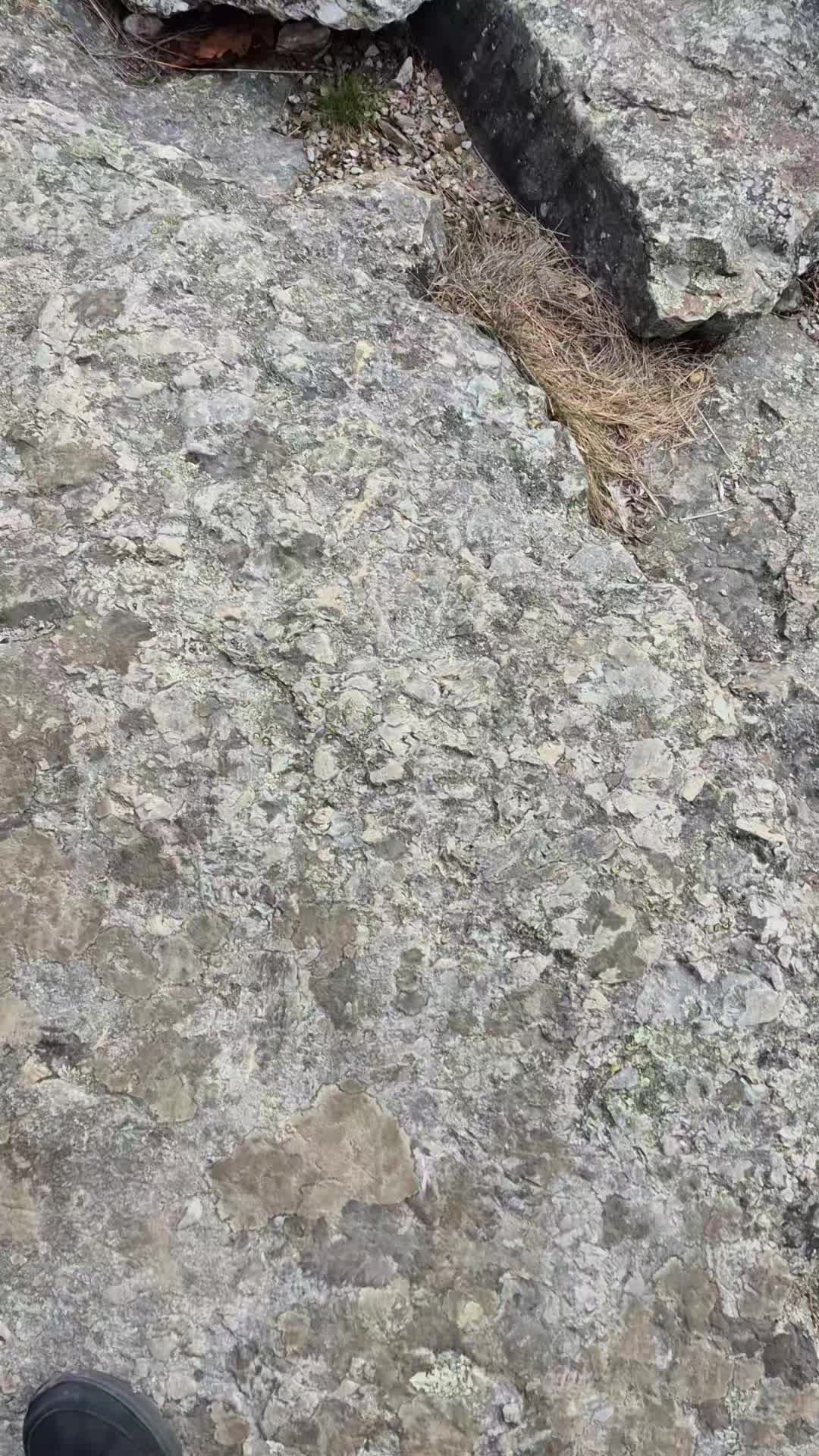 Camden Hills State Park