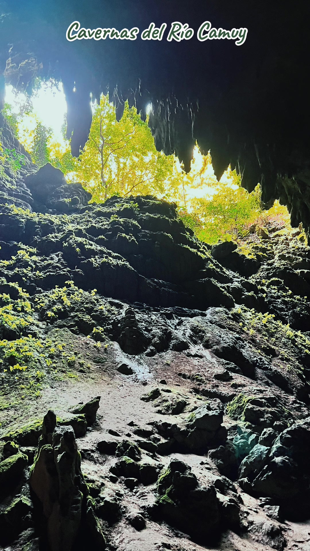 Camuy River Cave Park