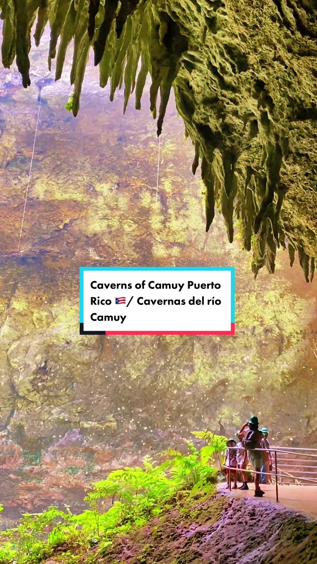 Camuy River Cave Park