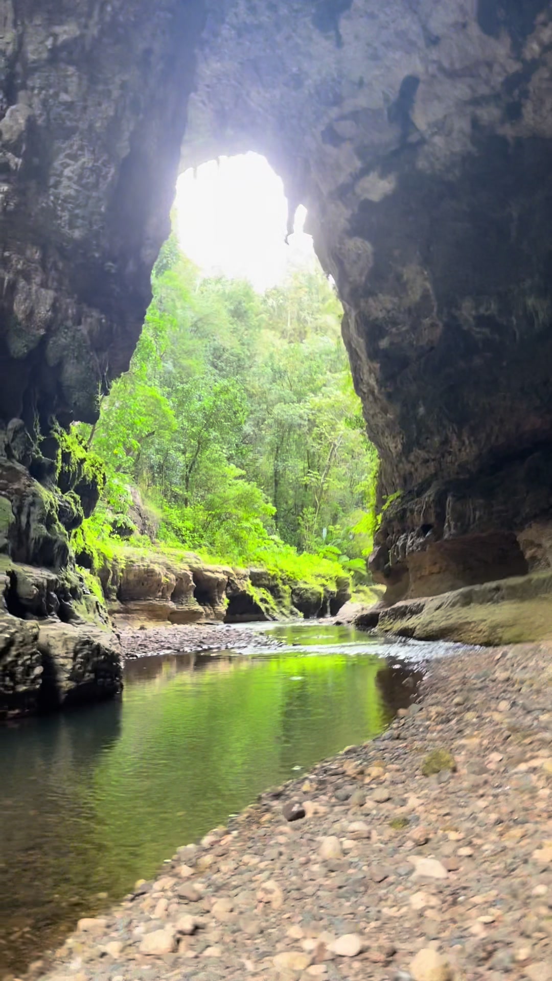 Camuy River Cave Park