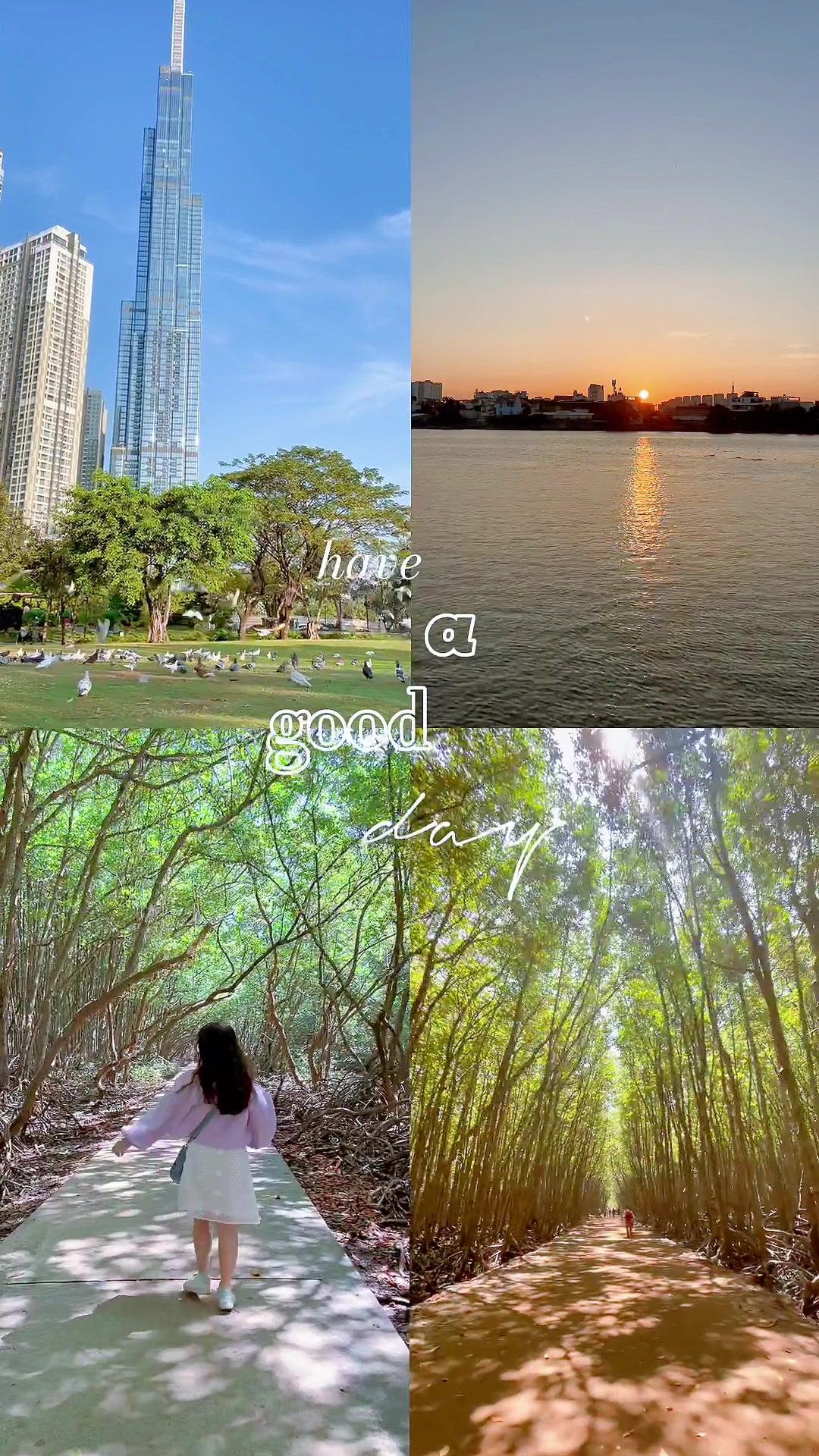 Can Gio Mangrove Forest