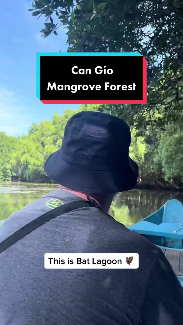 Can Gio Mangrove Forest