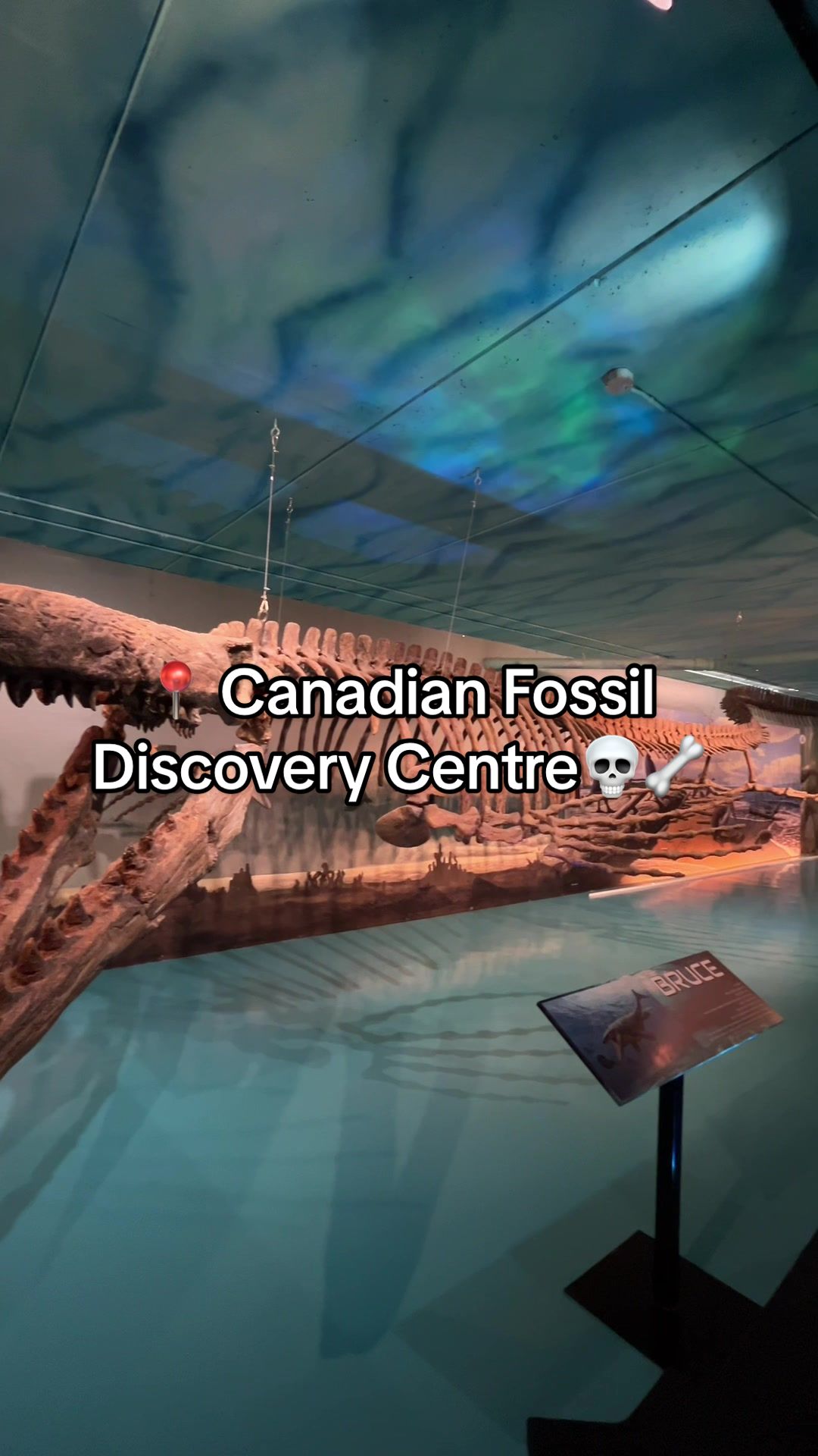 Canadian Fossil Discovery Centre (Morden)