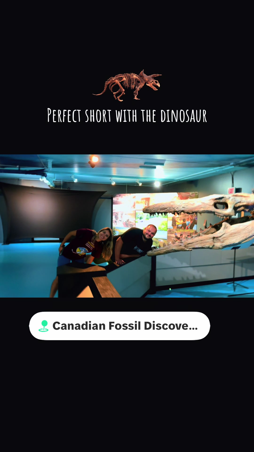 Canadian Fossil Discovery Centre (Morden)