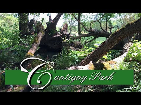 Cantigny Park