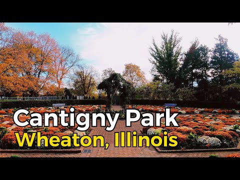 Cantigny Park