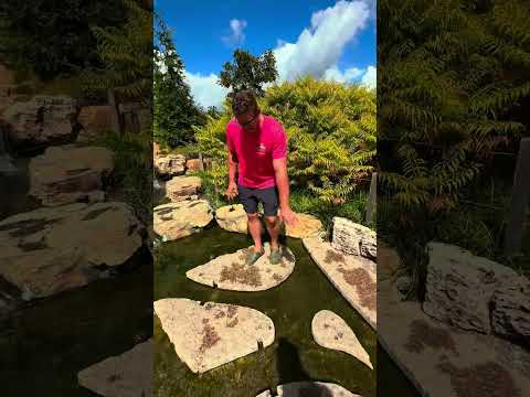 Cantigny Park
