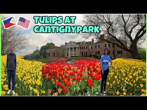 Cantigny Park