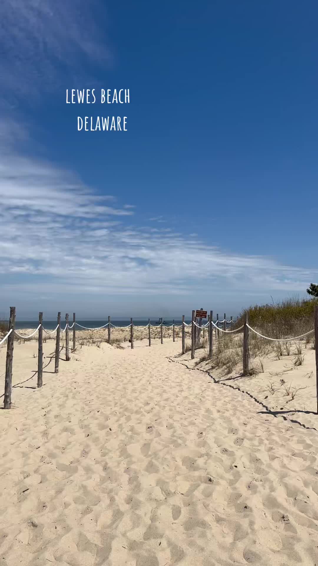 Cape Henlopen State Park