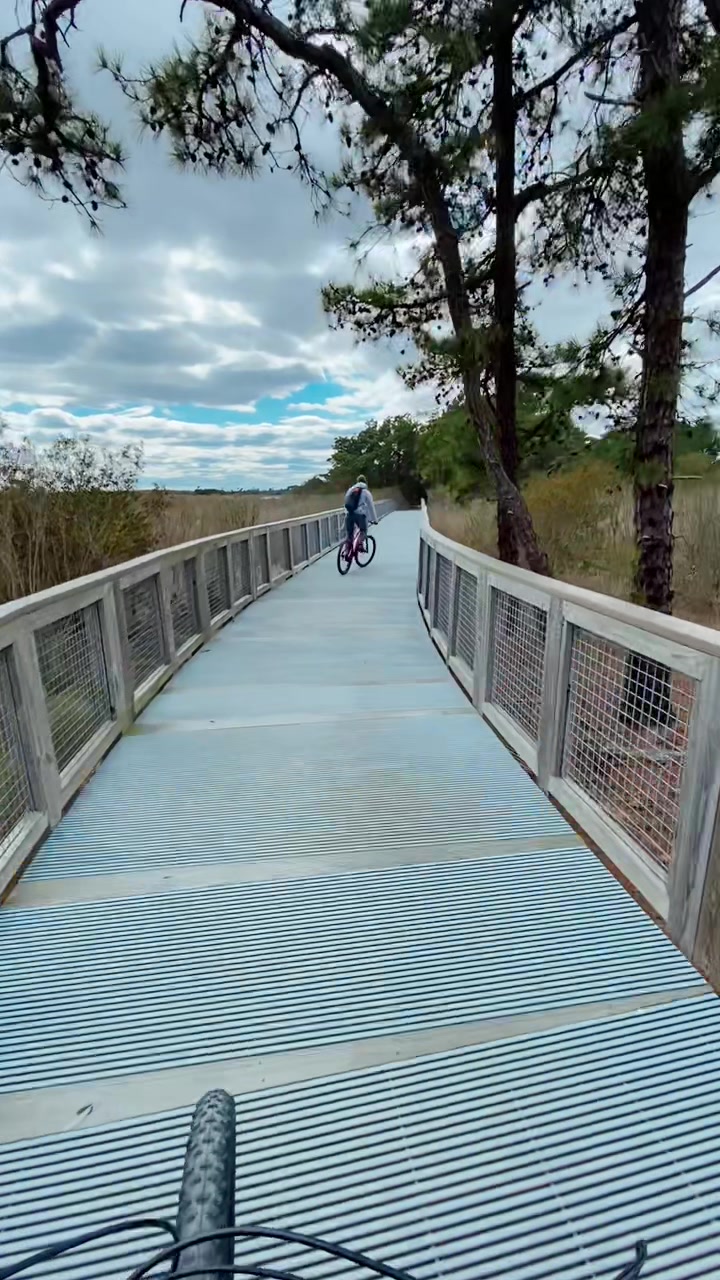 Cape Henlopen State Park