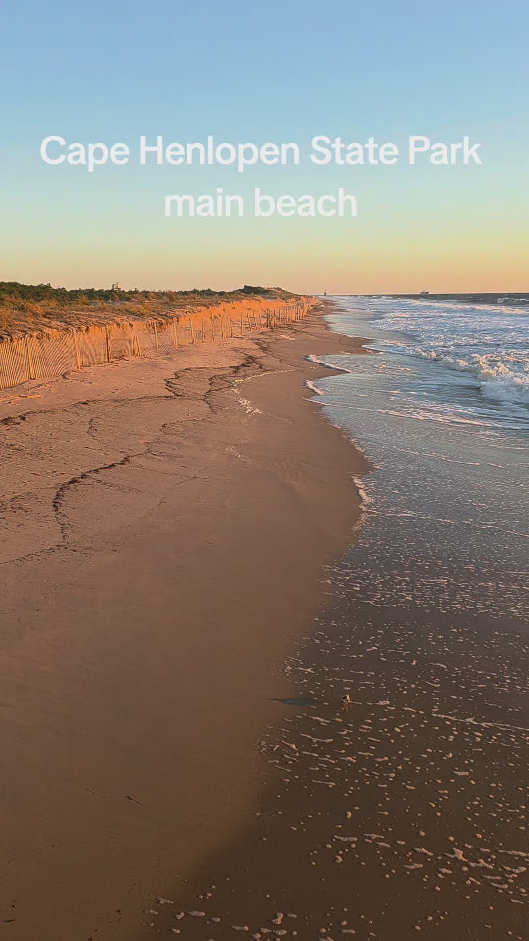Cape Henlopen State Park
