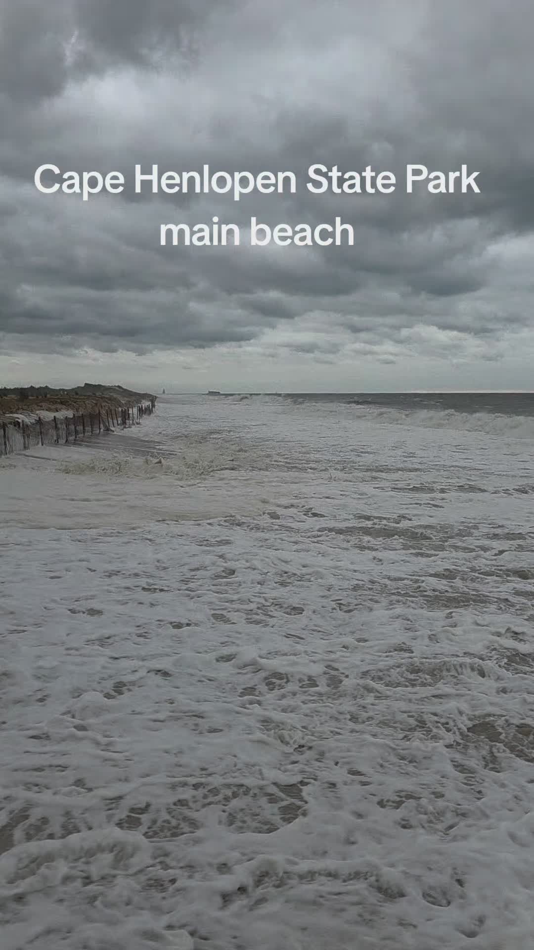 Cape Henlopen State Park