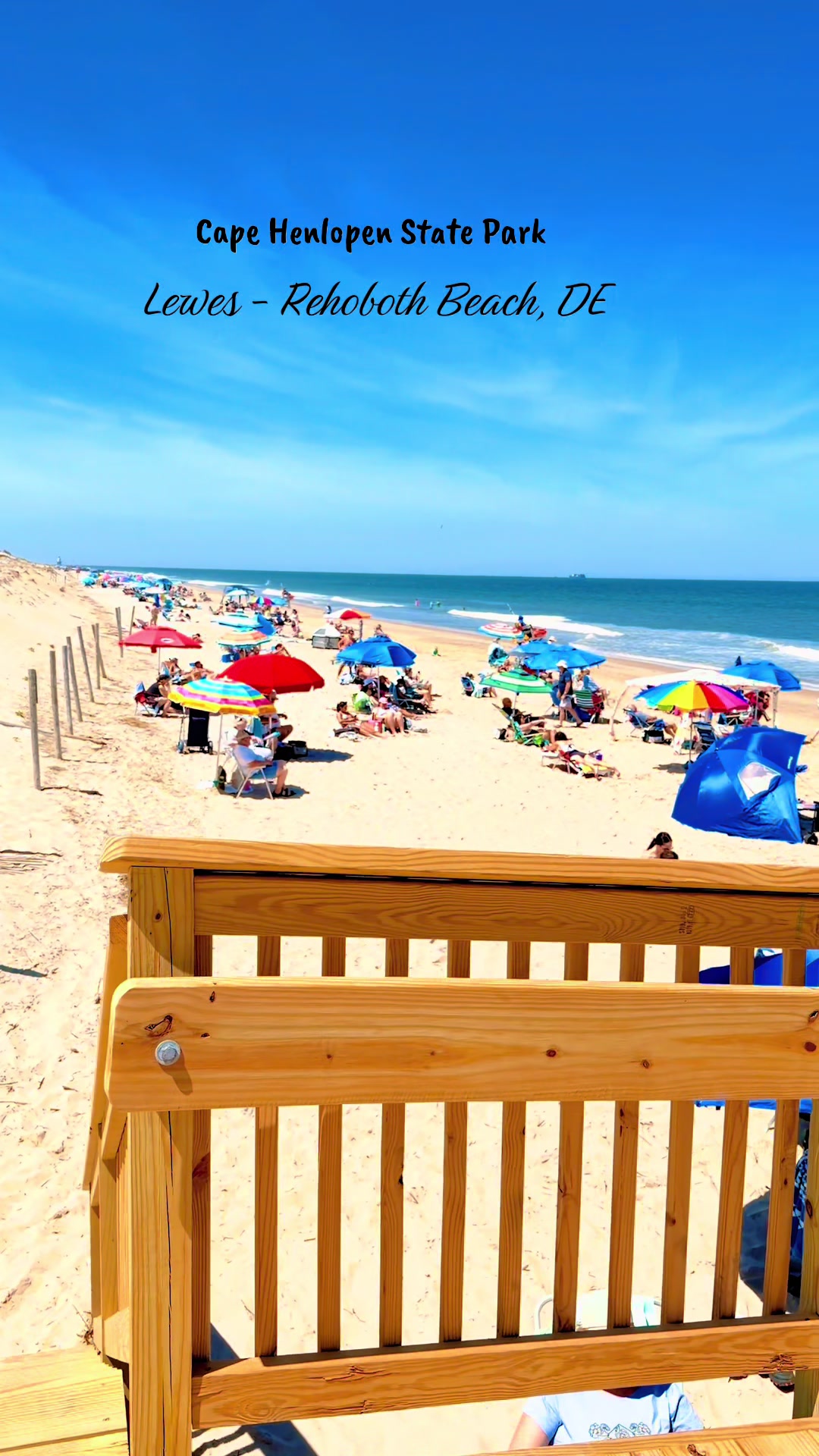 Cape Henlopen State Park