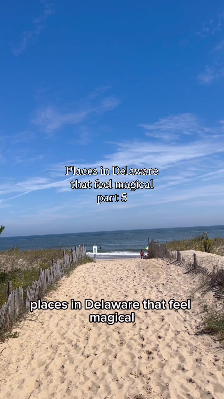 Cape Henlopen State Park