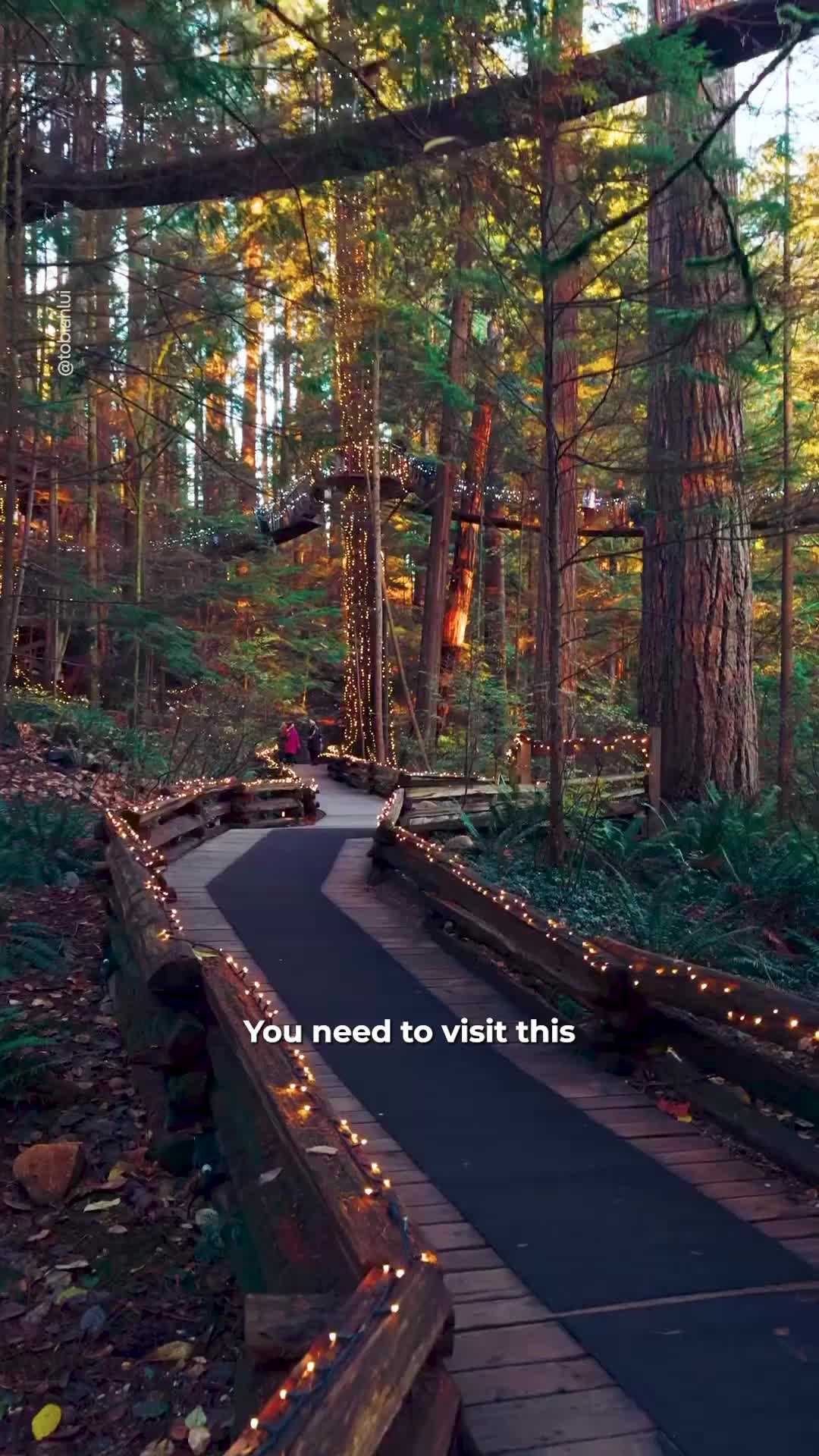 Capilano Suspension Bridge Park (Vancouver)