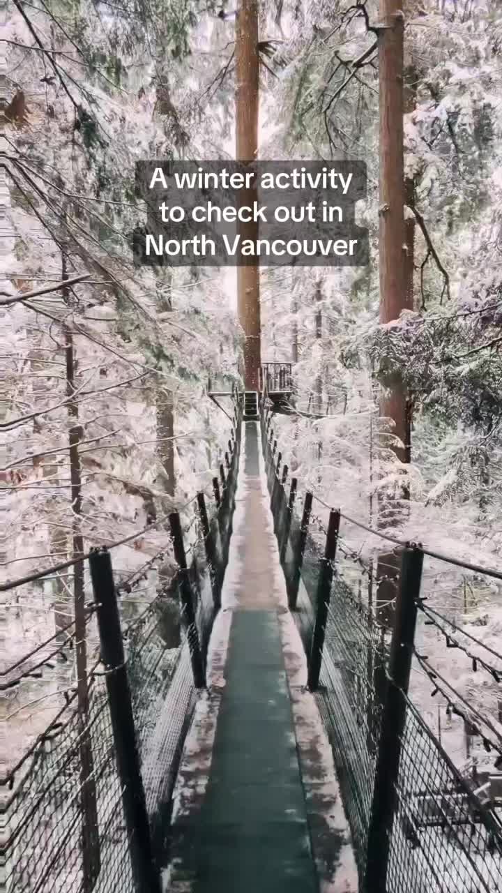Capilano Suspension Bridge Park