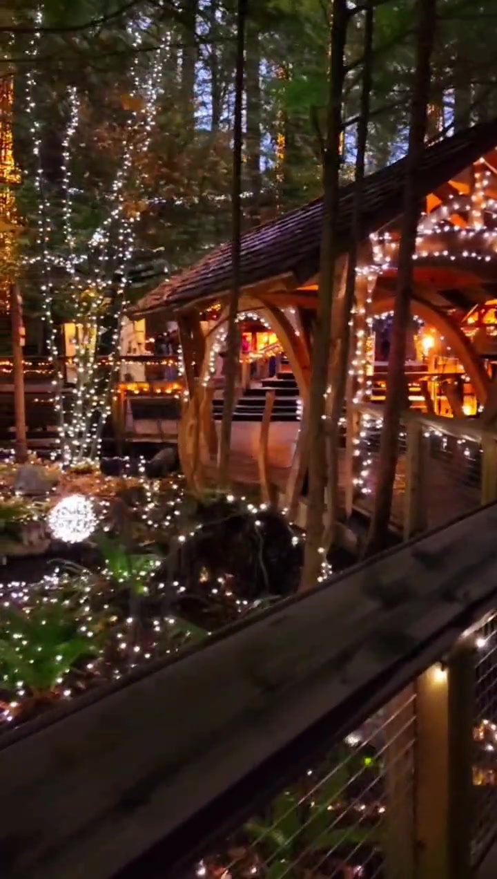 Capilano Suspension Bridge Park