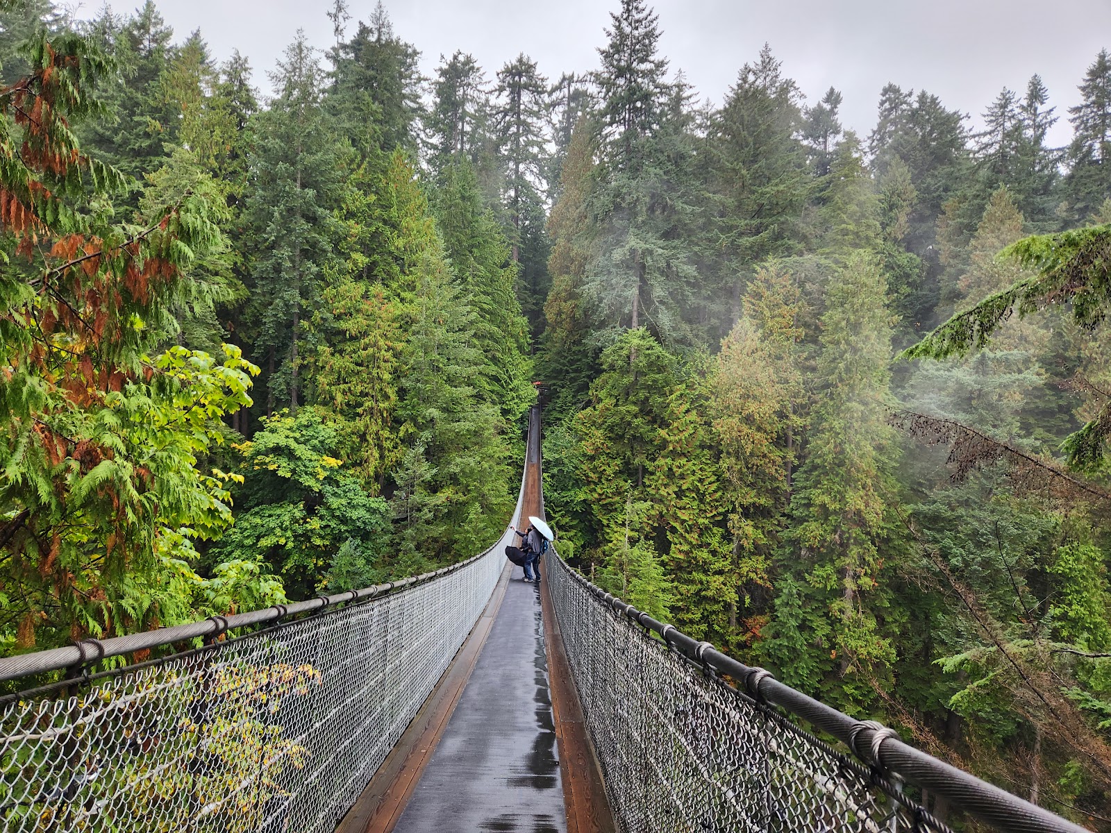 Capilano Suspension Bridge Park