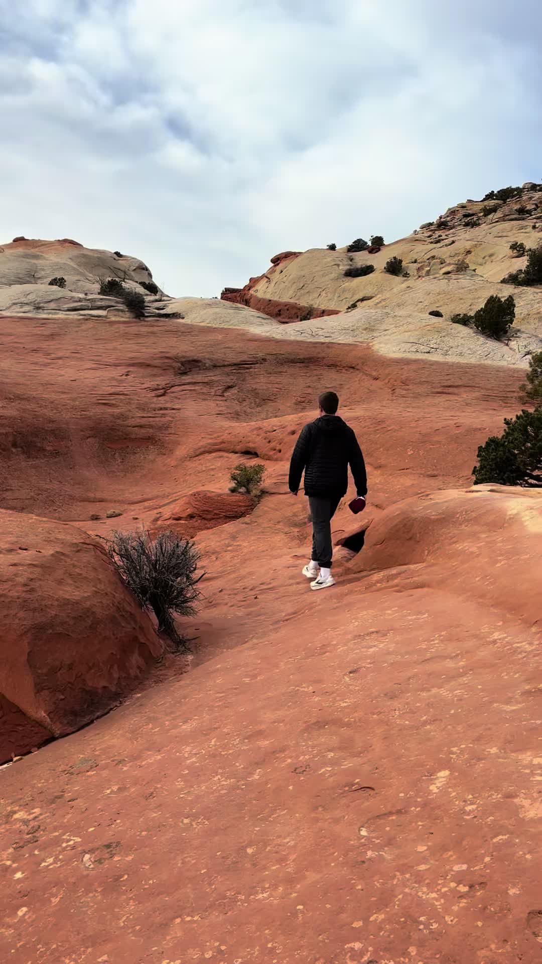 Capitol Reef National Park