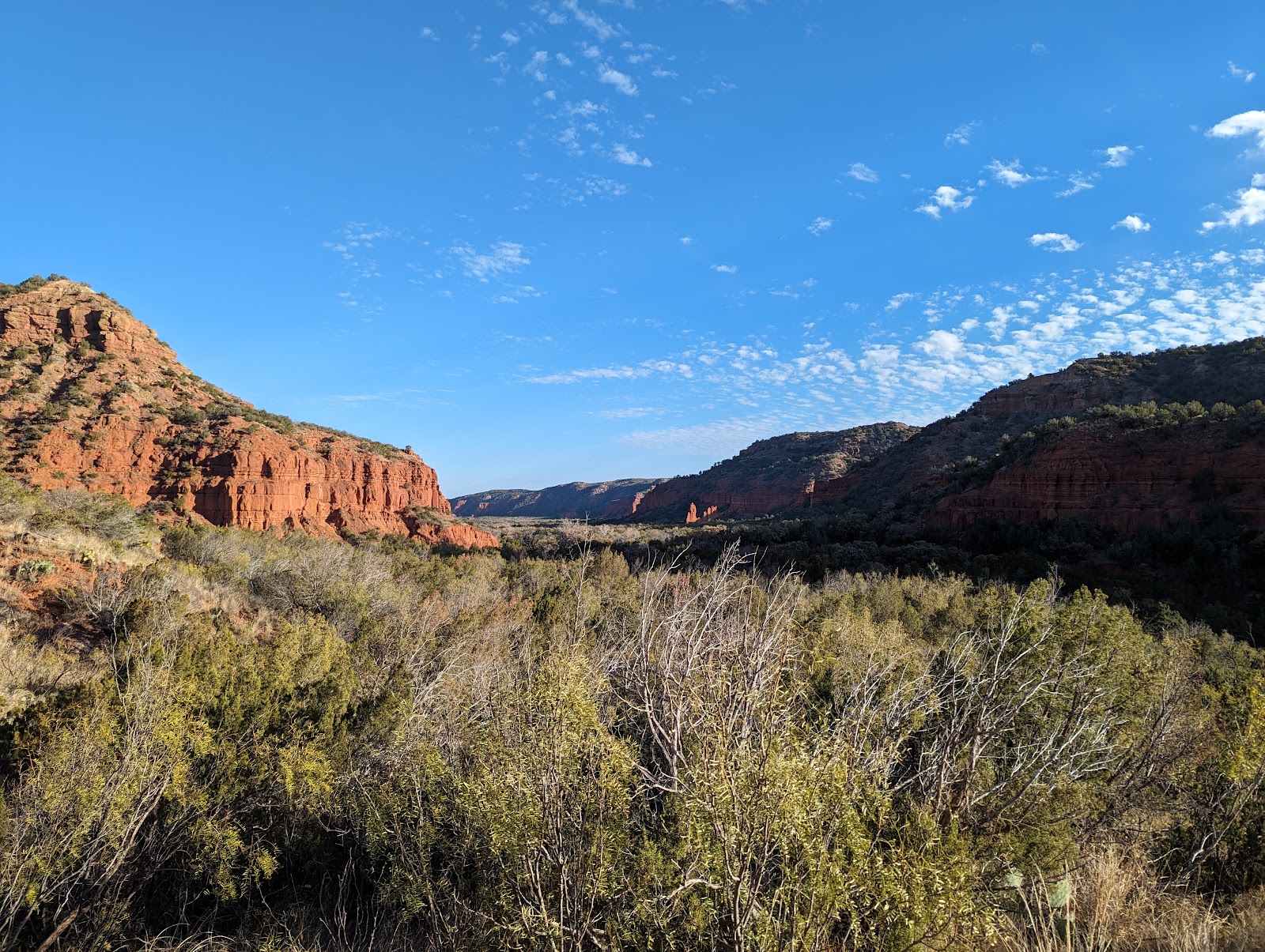 Caprock Canyons State Park