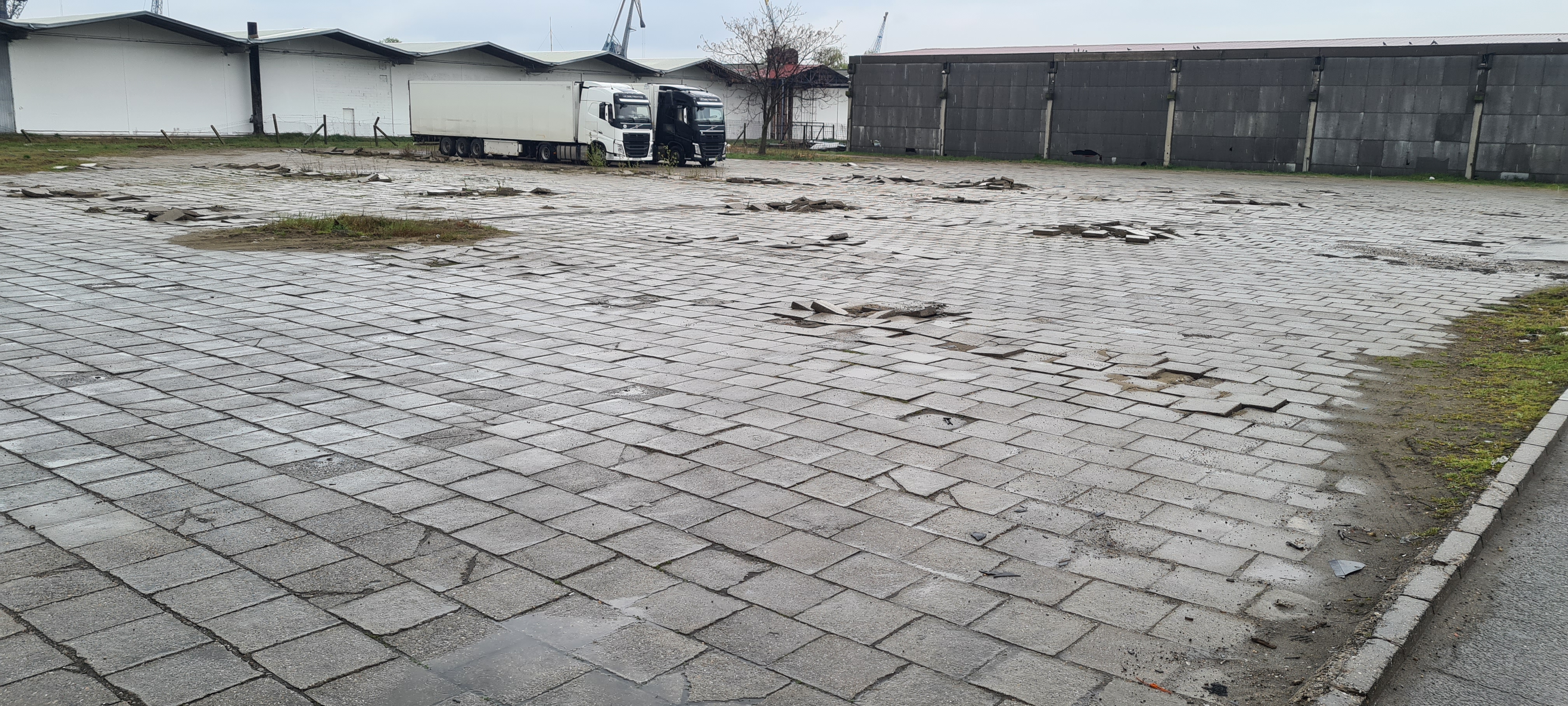 Изображение для Царская Прежница