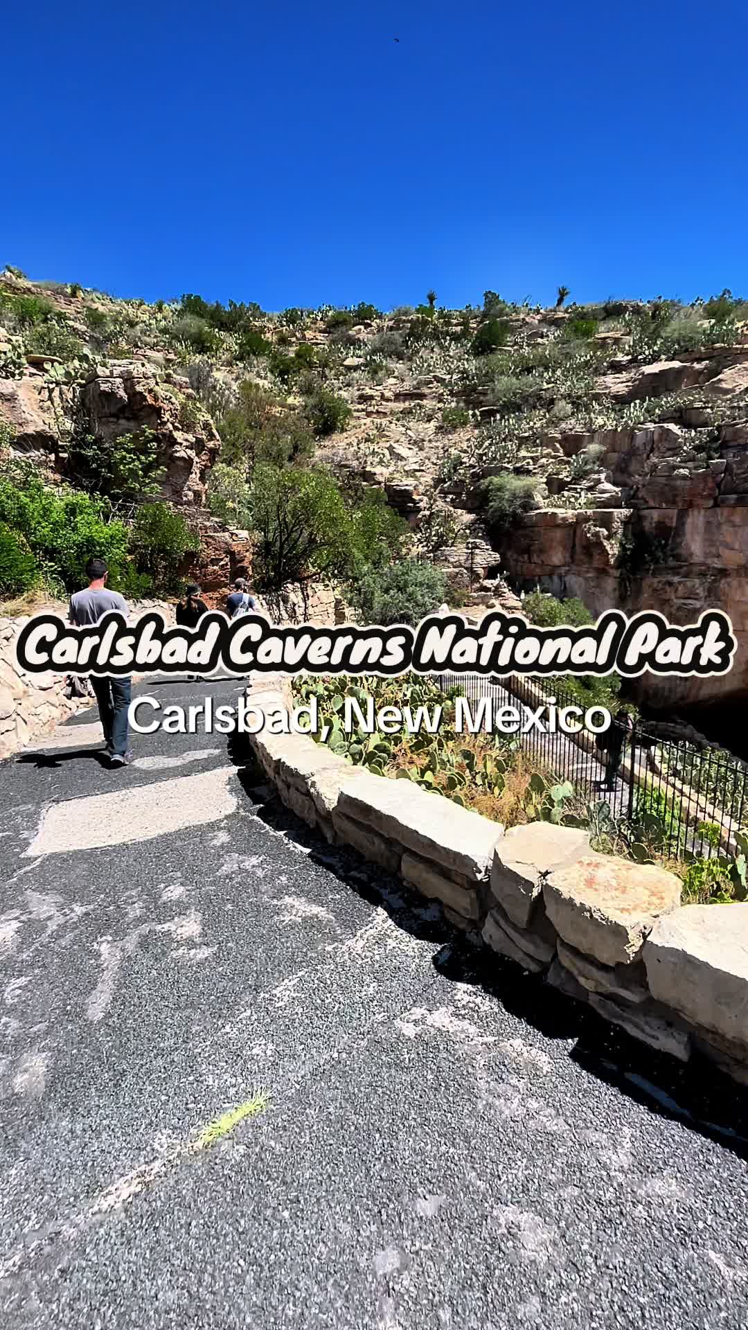 Carlsbad Caverns National Park, NM