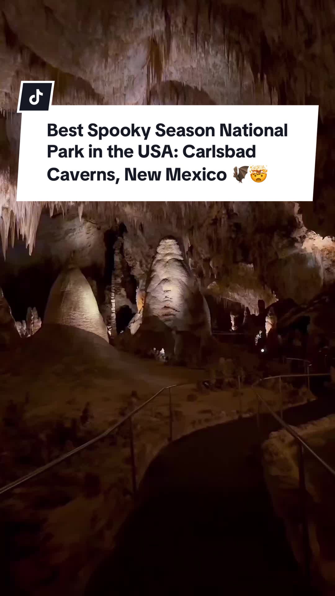 Carlsbad Caverns National Park