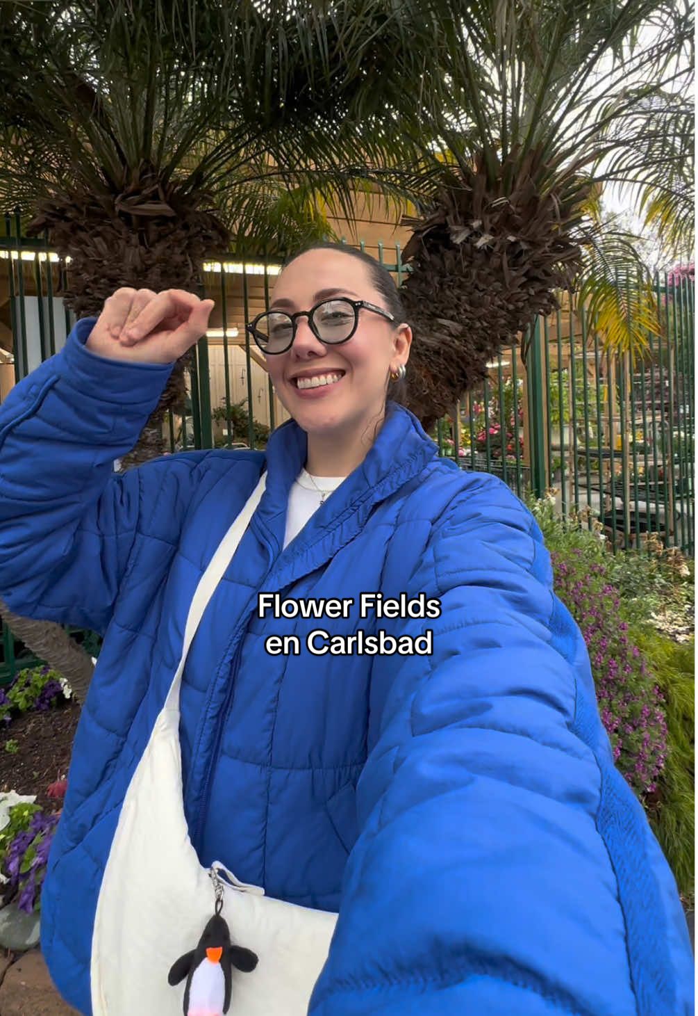Carlsbad Flower Fields (seasonal)