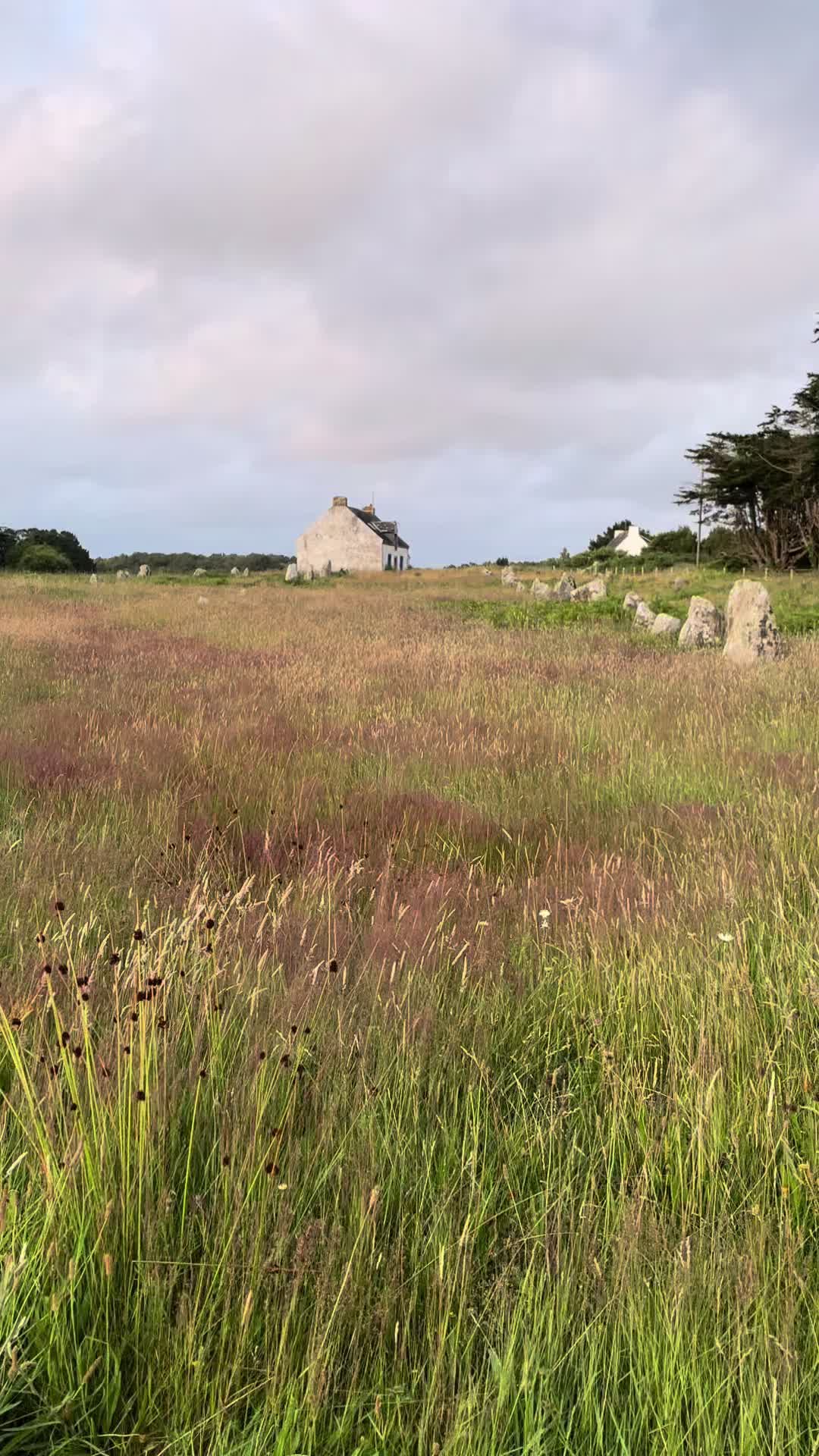 Carnac Stones (Alignments)