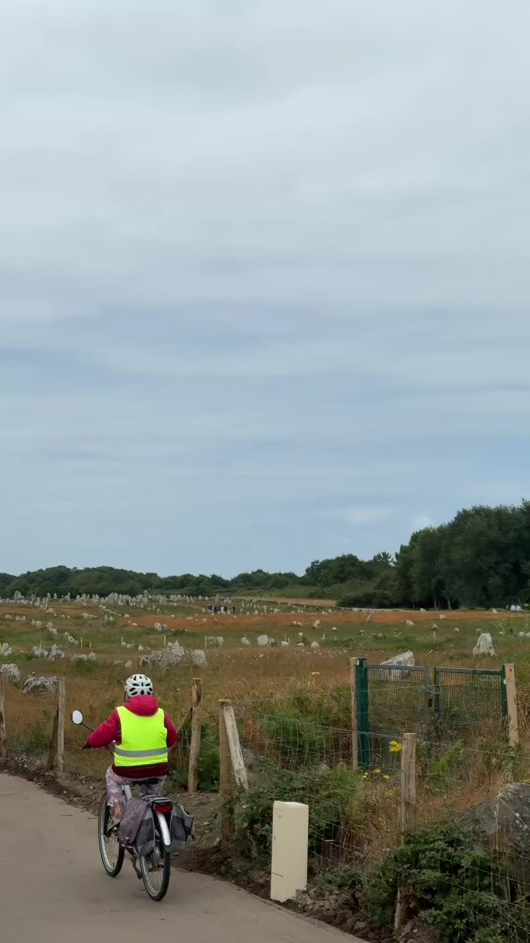 Carnac Stones (Alignments)