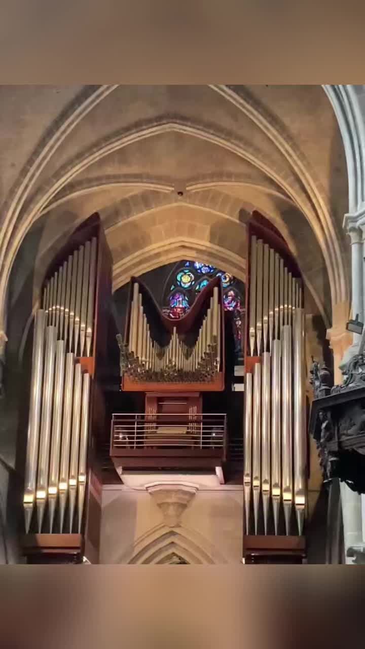 Cathédrale de Lausanne (Lausanne Cathedral)