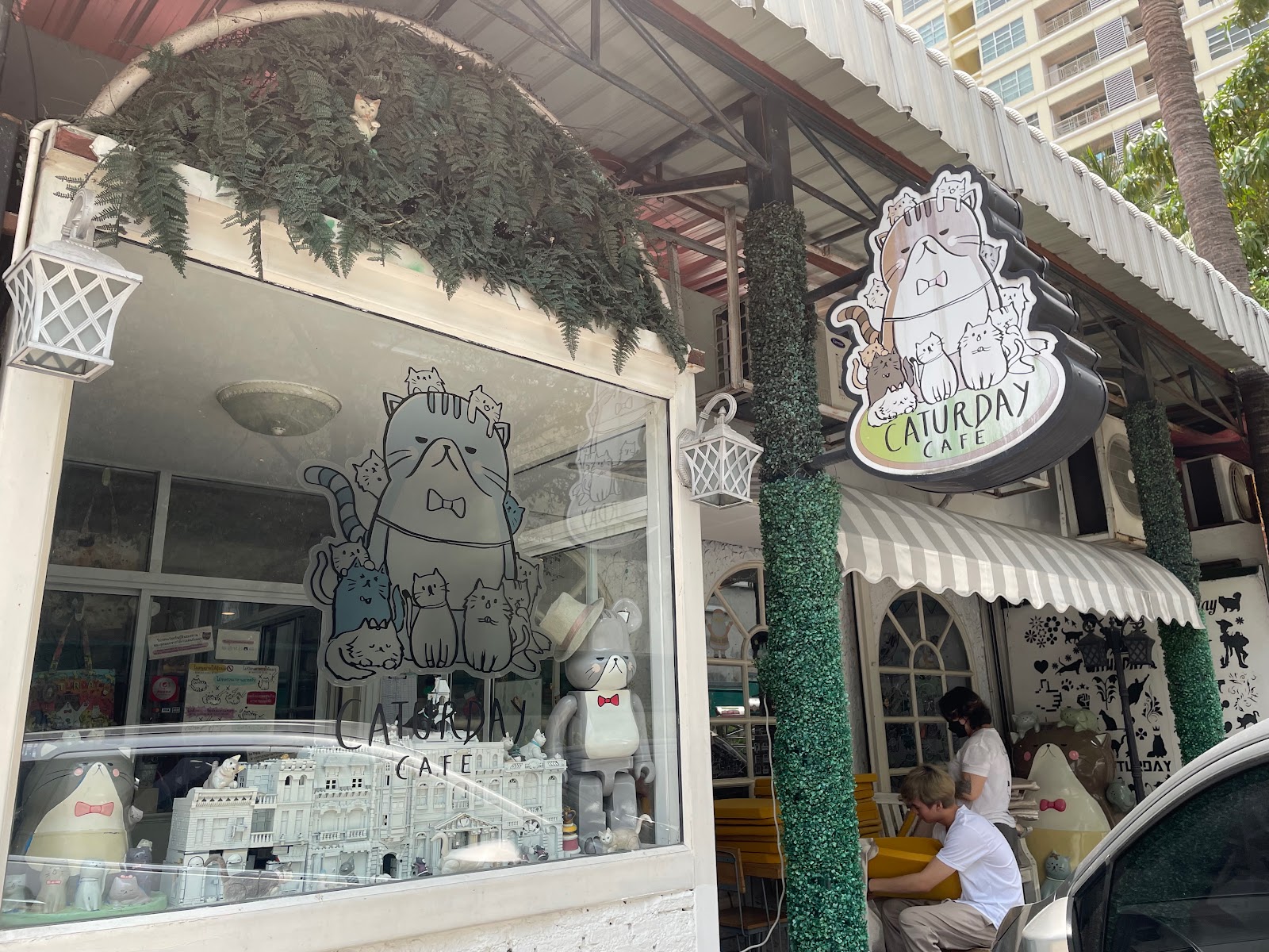 Picture for Caturday Cat Café