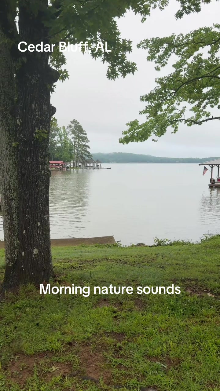 Cedar Bluff State Park