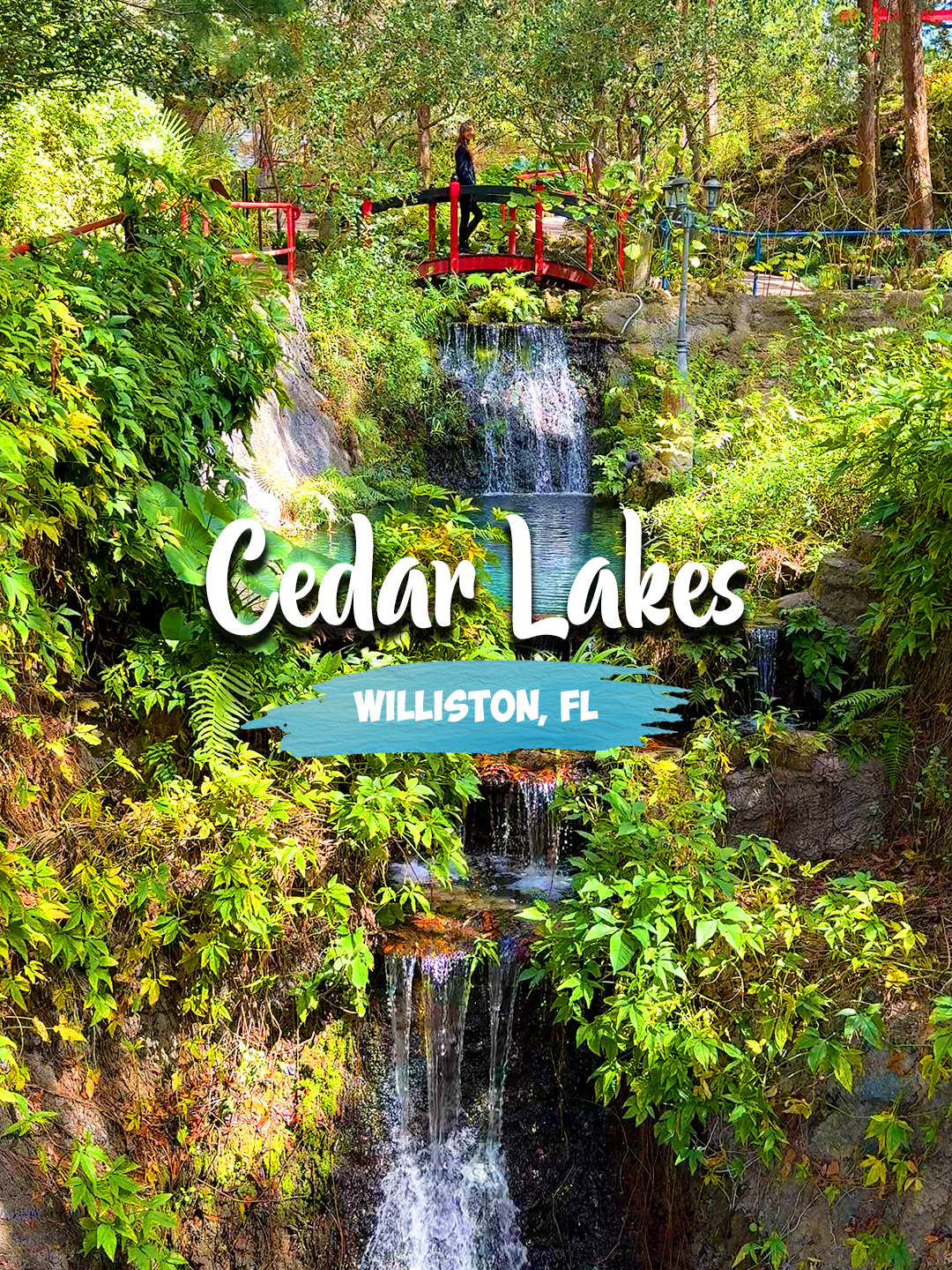 Cedar Lakes Woods and Gardens