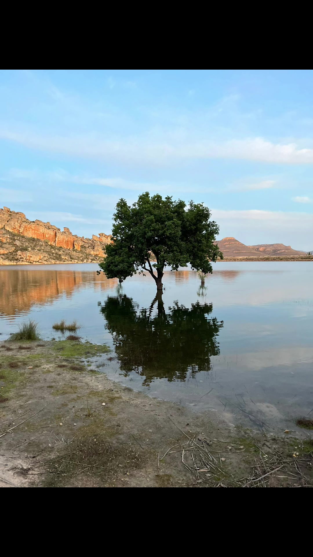 Cederberg